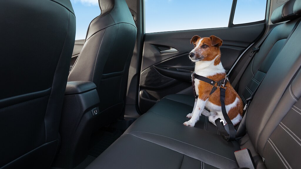 Sistema de fijación y pechera para Chevrolet Tracker como parte del kit mascotas